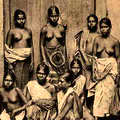 Group of Rhodiyas
