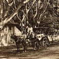 horse carriage on slave island colombo