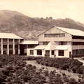 A Ceylon Tea Factory