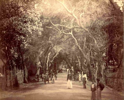 High Street, Colombo, Ceylon c.1880
