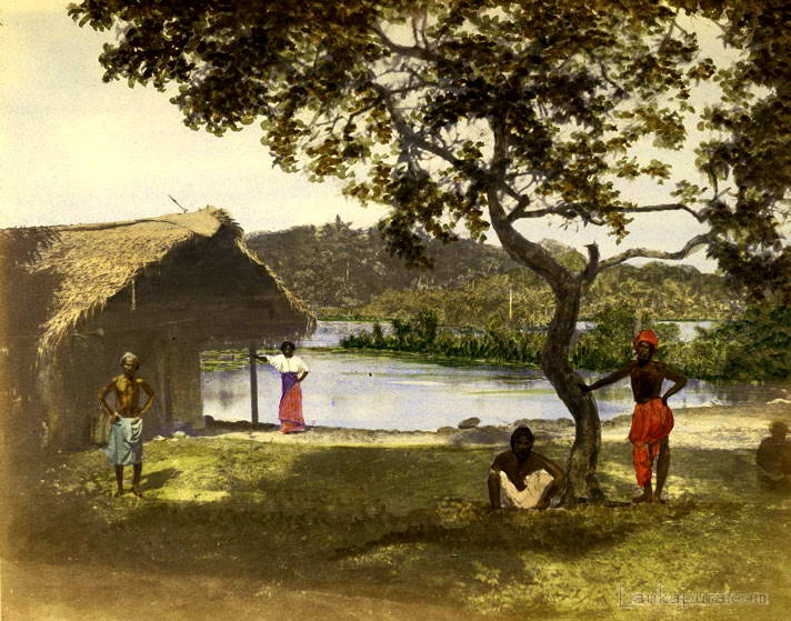 Scenery in Sri Lanka (Ceylon) c.1852