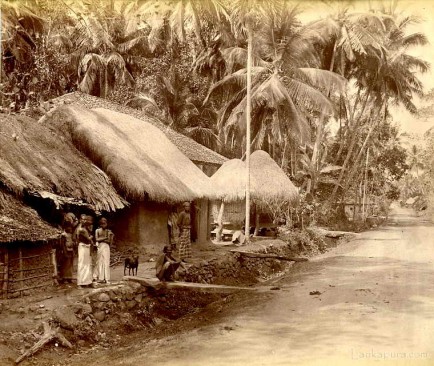 Natives and their dwellings Ceylon c1880 