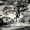 Road scene near Colombo