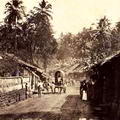Village scene near Colombo