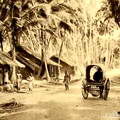 Galle road Ceylon by skeen
