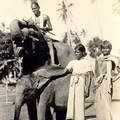 Natives on an Elephant on their way to Kandy 