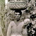Native fruite seller Colombo Ceylon