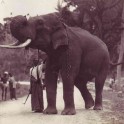 postcard4