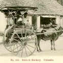 Bullock Hackery c.1890-1910