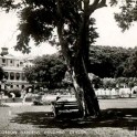 Gordon Gardens Colombo