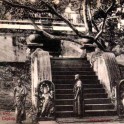Sacred Bo Tree Anuradhapura