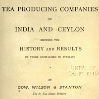 Tea producing companies of India and Ceylon