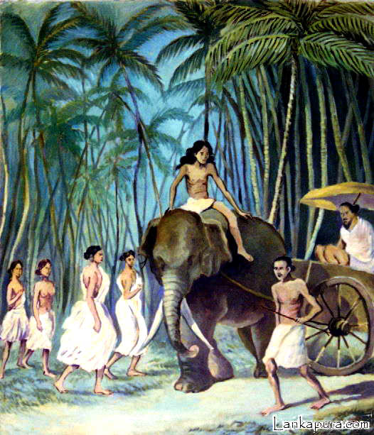 Elephant Cart, Ceylon