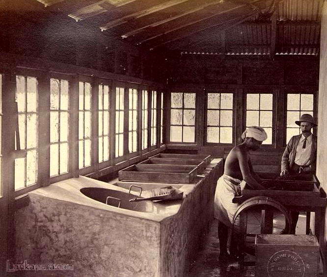 A Tea Factory Late 1800 S