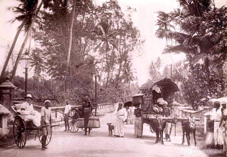 Ceylon Busy Road View