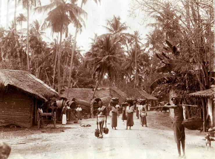 Skinnan Road, Colombo, Ceylon 1870