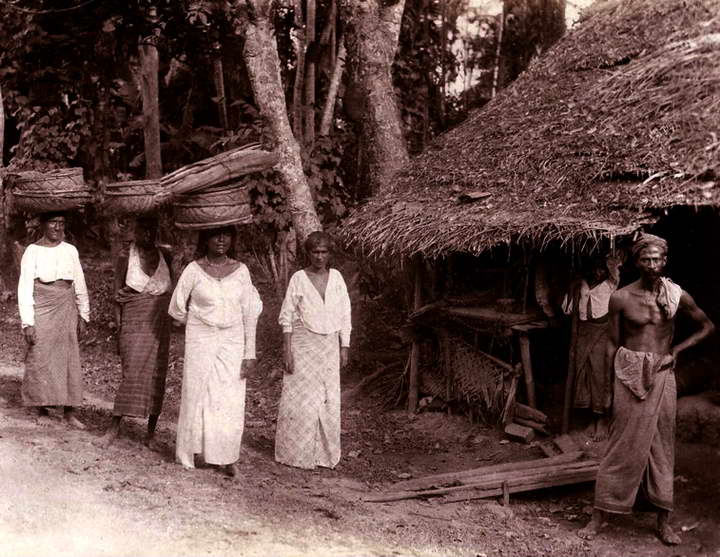 Ceylon Sinhalese Peasants Skeen 1880