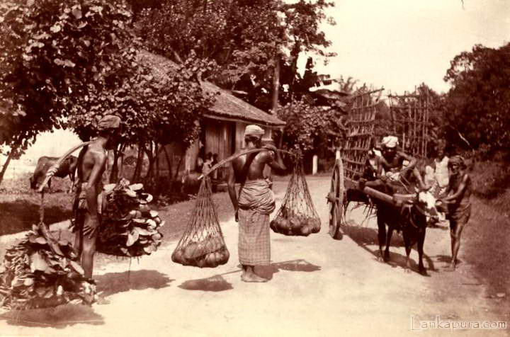 Native Street Scene 1870, Ceylon