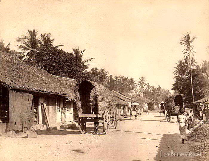 Mt Lavinia Road – Colombo, Ceylon