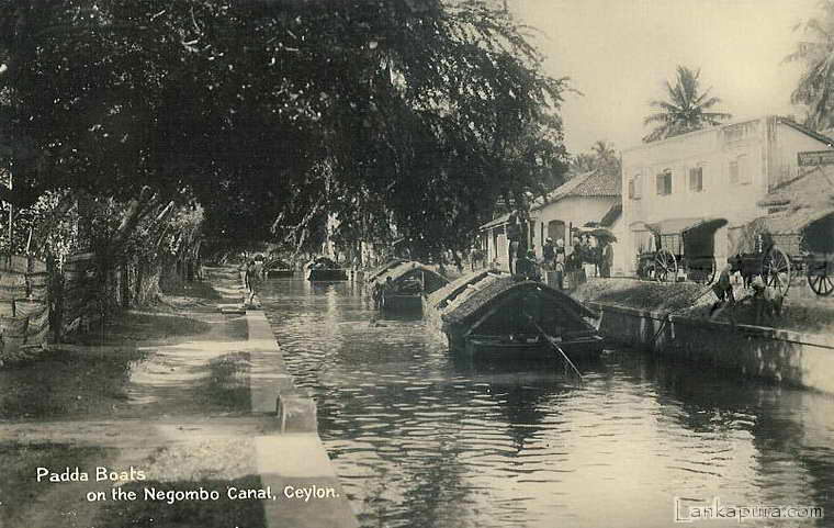 Padda Boats on the Negombo Canal, Ceylon