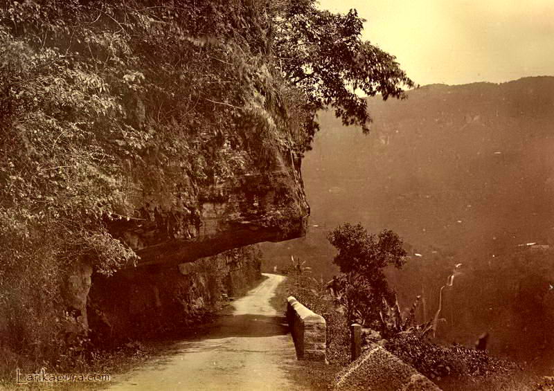 Road to Ramboda, Ceylon, late 1800’s