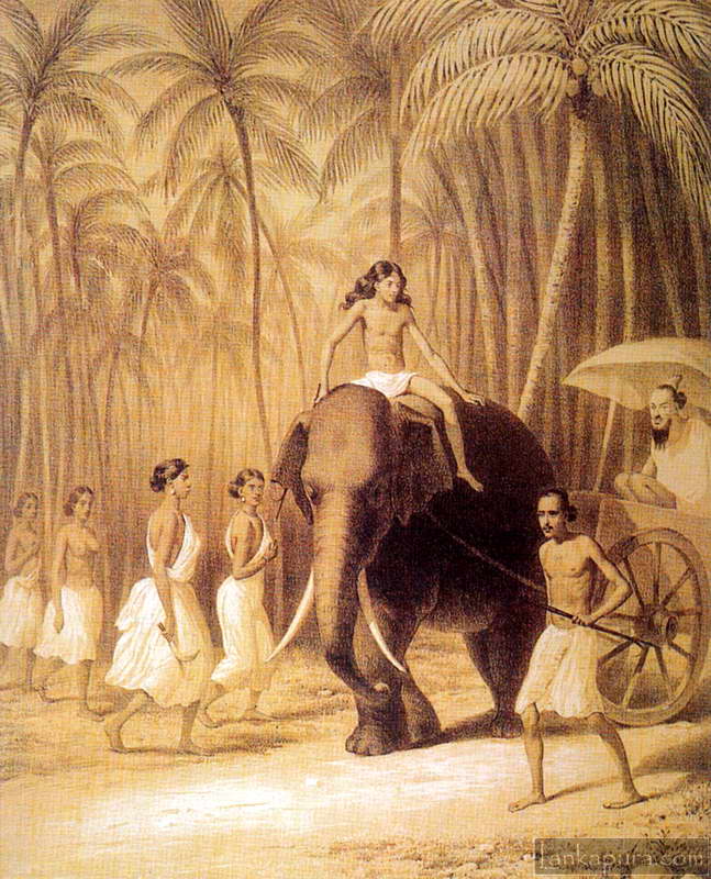 Elephant Cart, Ceylon