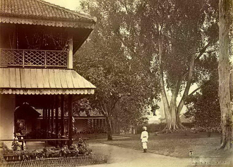 Tea estate bangalow, badulla, ceylon, late 1800’s