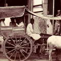 Bullock Cart & Driver, Ceylon