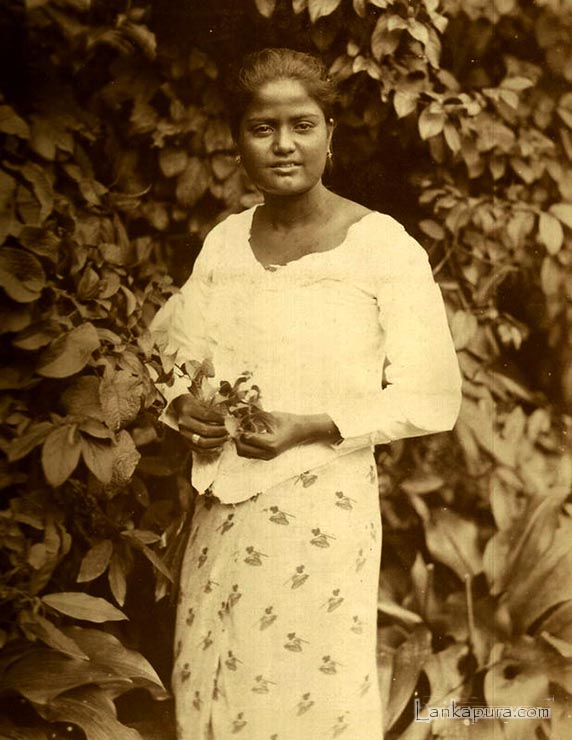 Sinhalese Girl 1870 by Colombo Apothecaries Co