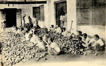 Workers sorting copra, Ceylon