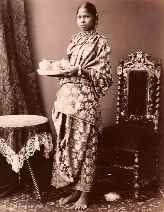 Tamil Lady Ceylon C1875