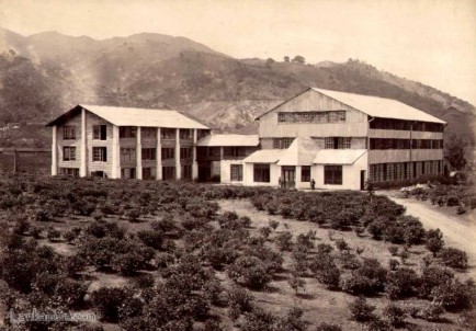 A Ceylon Tea Factory Early 1900s