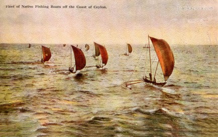Fleet of Native Fishingboats Ceylon