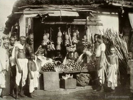 Fruit seller Colombo Ceylon