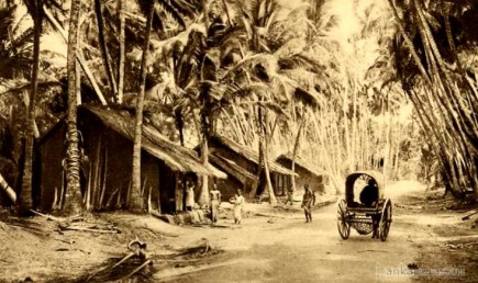 Galle Road Ceylon by Skeen