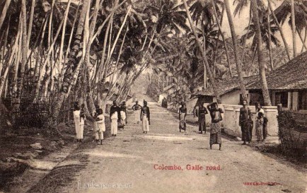 Galle Road Near Colombo Sri Lanka Late 1800s