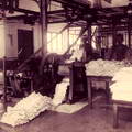 Rubber Processing in Ceylon