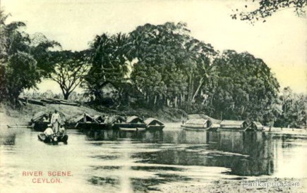 Houseboats at Ratnapura River