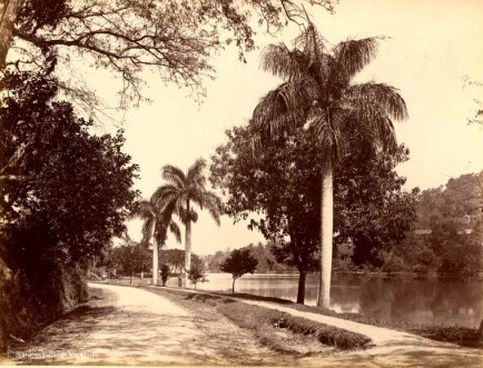 Avenue beside Lake at Kandy, Ceylon