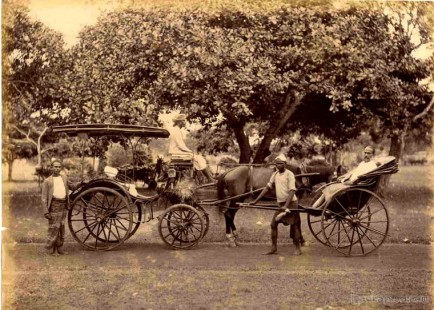 Horse carriage and a rickshaw, Ceylon
