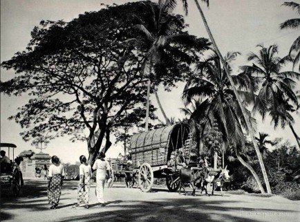 Road scene near Colombo Sri Lanka
