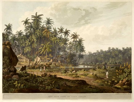 View near Point de Galle, Ceylon