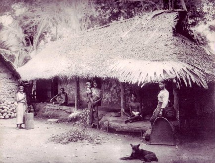 Natives and Their Hut Ceylon