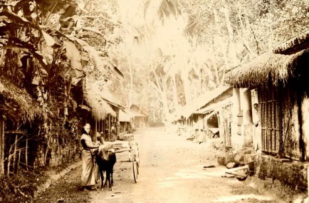 A street scene in Colombo, Ceylon 1878 - 1882