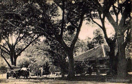 Sigiriya Rest Hose, Ceylon 1920s