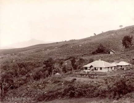 Tea planters bungalow Haputale Estate 1870