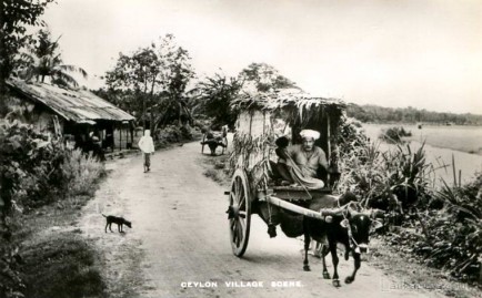 Village Scene in early 1900s, Sri Lanka