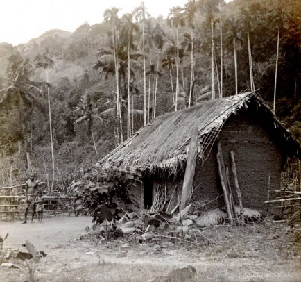 A typical native house in the nearby Sinharaja Forest, Ceylon