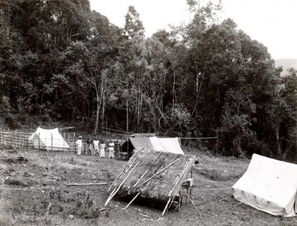 A camp site in the Sinharaja Forest, Ceylon