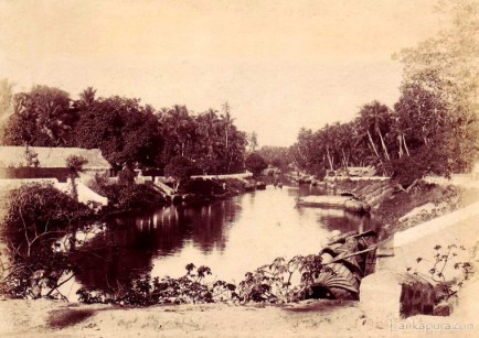 View of a Canal Colombo Ceylon 1890